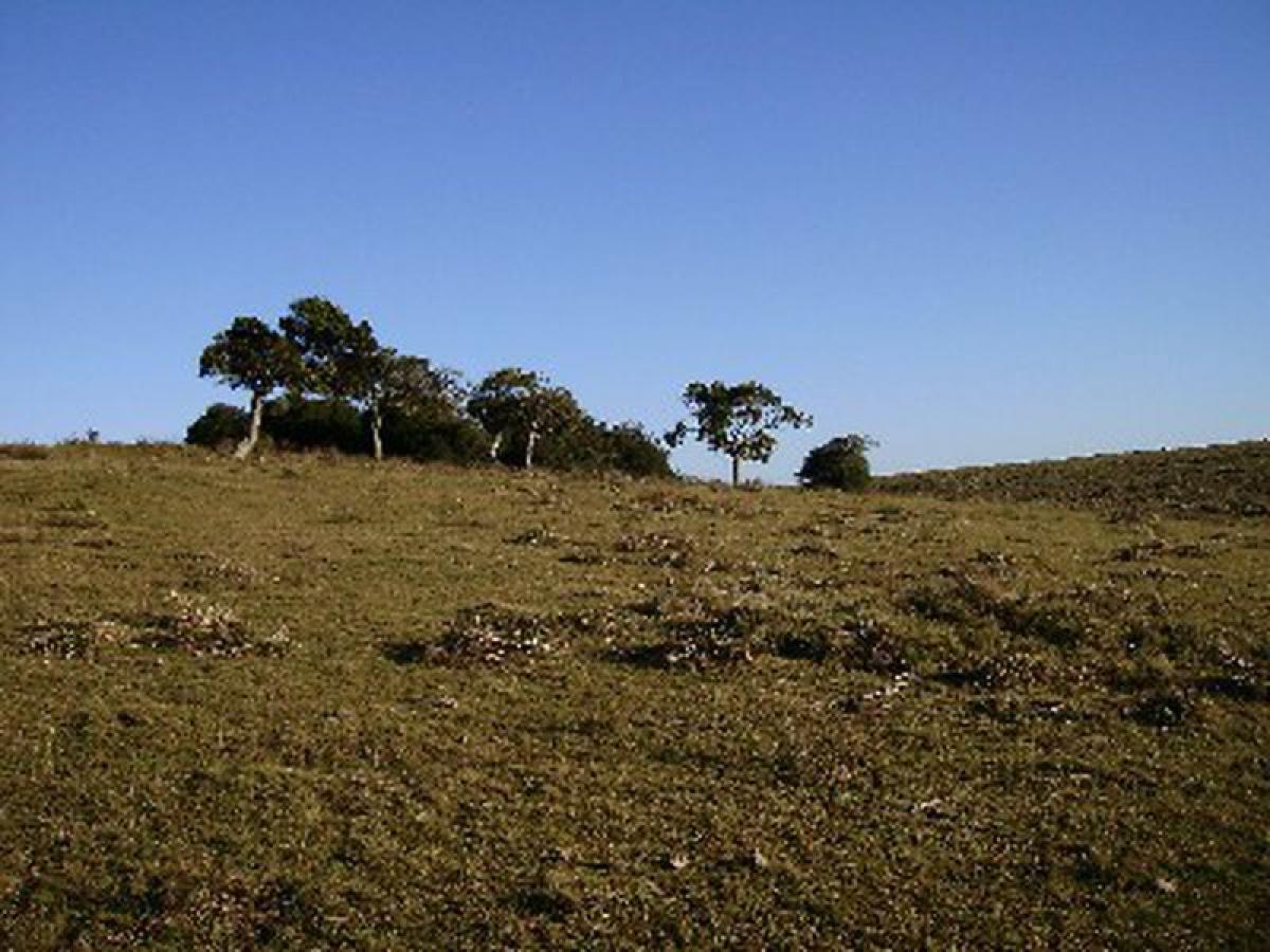 Granja en Maldonado, Uruguay 21 m² No. 14485