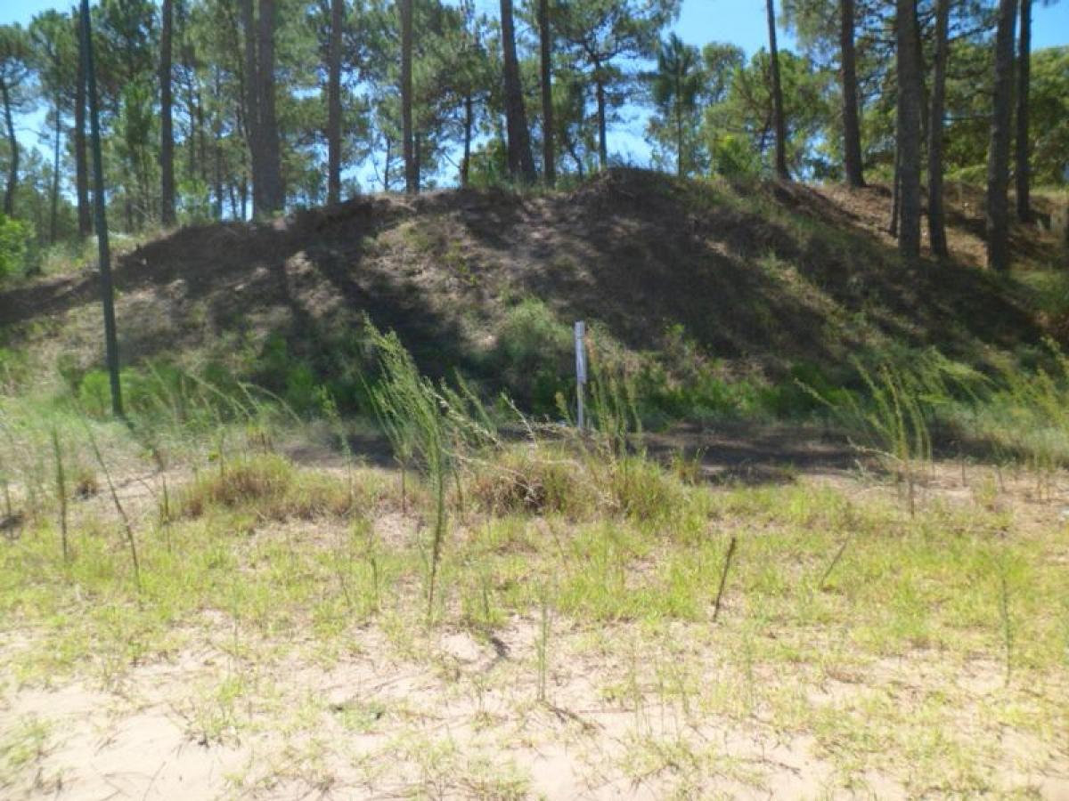 Grundstück in Mar del Plata, Argentina, Nr. 114709