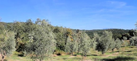 Casa de 3 dormitorios en Roccastrada, Italy No. 236992 13