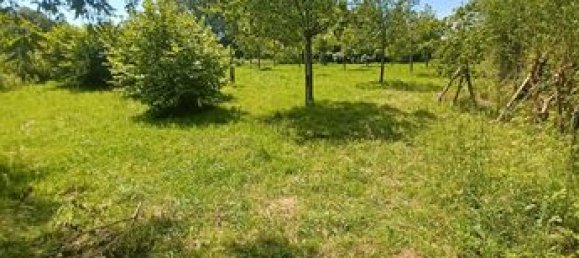 3700m² Land in La Calotterie, France No. 311996 2