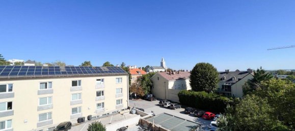 2 rooms Apartment in Bad Voslau, Austria No. 241126 3