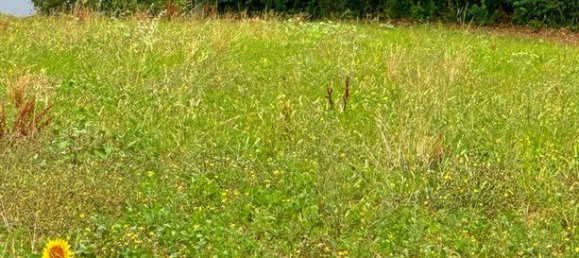 3000m² Land in Bassoues, France No. 304655 3