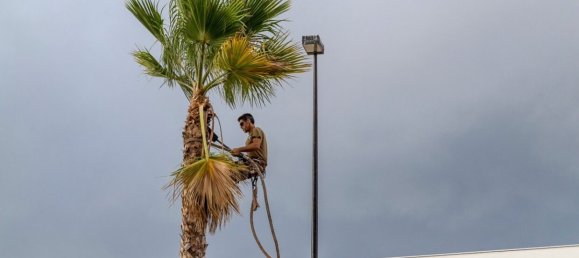 Квартира с 3 спальнями в Санта-Пола, Испания № 48402 70