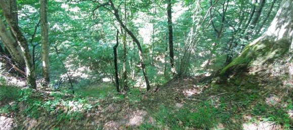 8 rooms House in Castel d'Aiano, Italy No. 261616 49