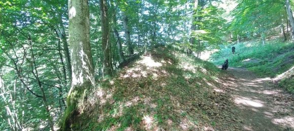 8 rooms House in Castel d'Aiano, Italy No. 261616 50