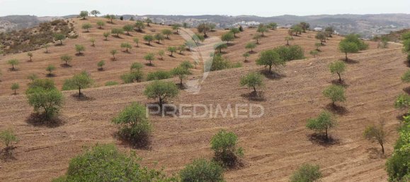 3 bedrooms House in Azinhal, Portugal No. 135523 22