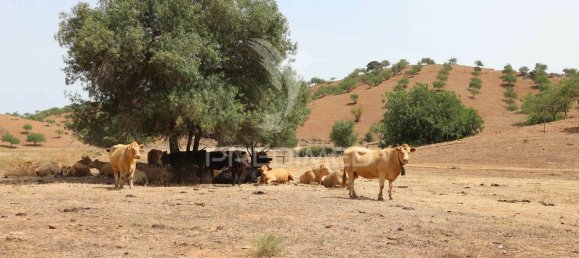 3 bedrooms House in Azinhal, Portugal No. 135523 16