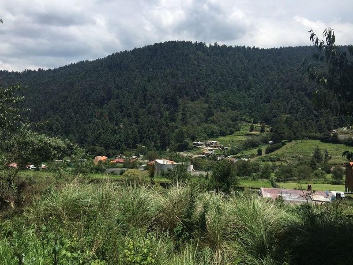 Grundstück in Lerma, Mexico, Nr. 203149