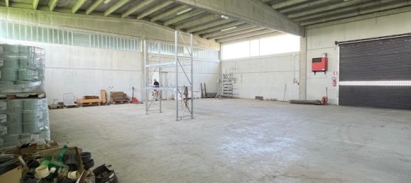 1500m² Warehouse in Busseto, Italy No. 330968 5