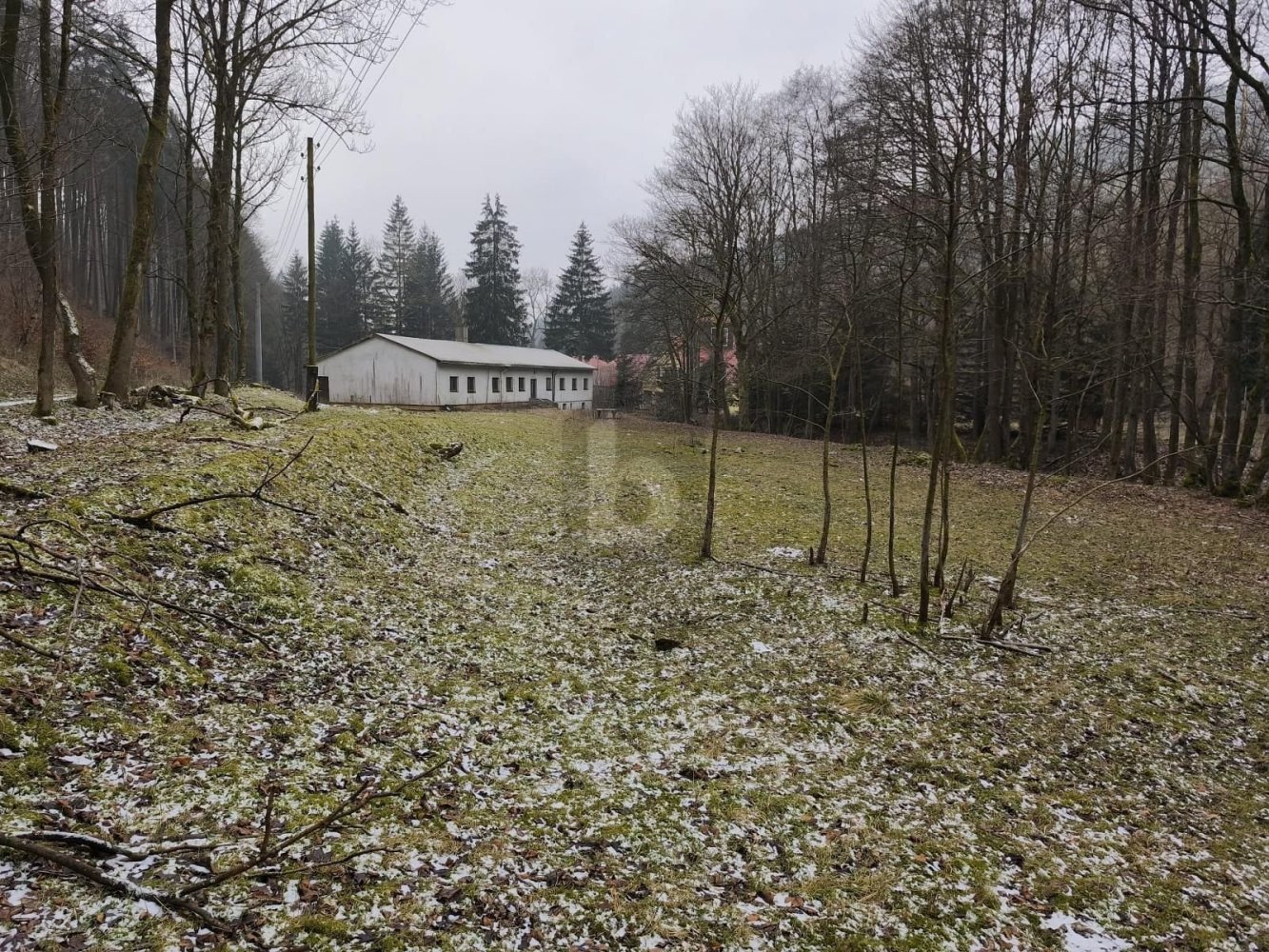  مستودع في Halle, Germany رقم 192146