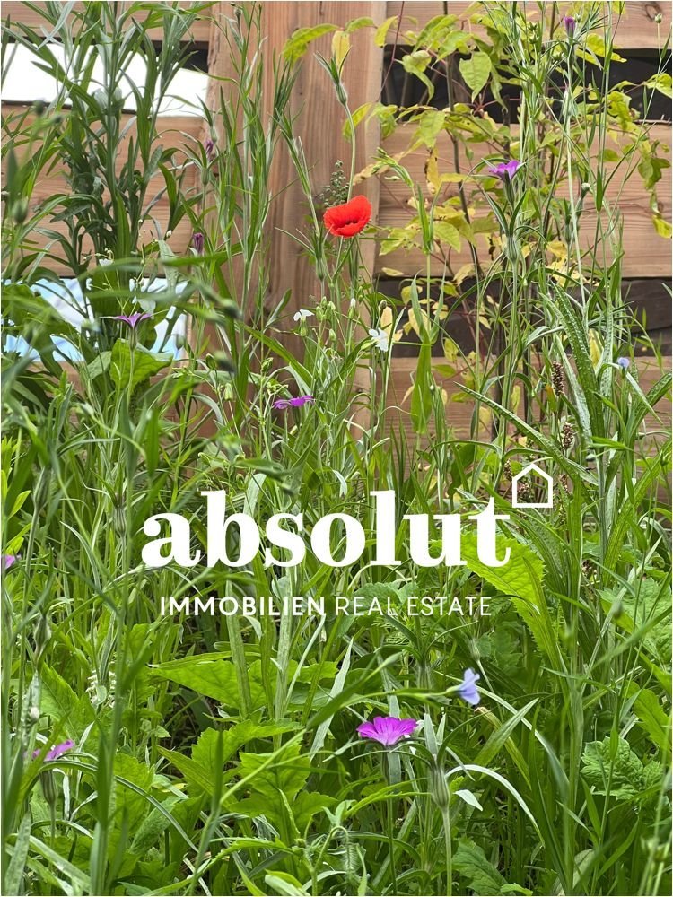  Land in Zell am See, Austria No. 49323