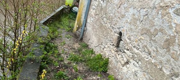 3 chambres Maison de ville à Châtillon-sur-Loire, France No. 69027 11