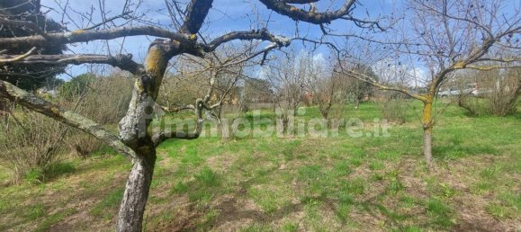 1 bedroom Villa in Paliano, Italy No. 11553 7