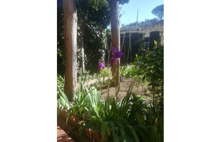 Дом с 5 спальнями в Винчи, Италия № 254725