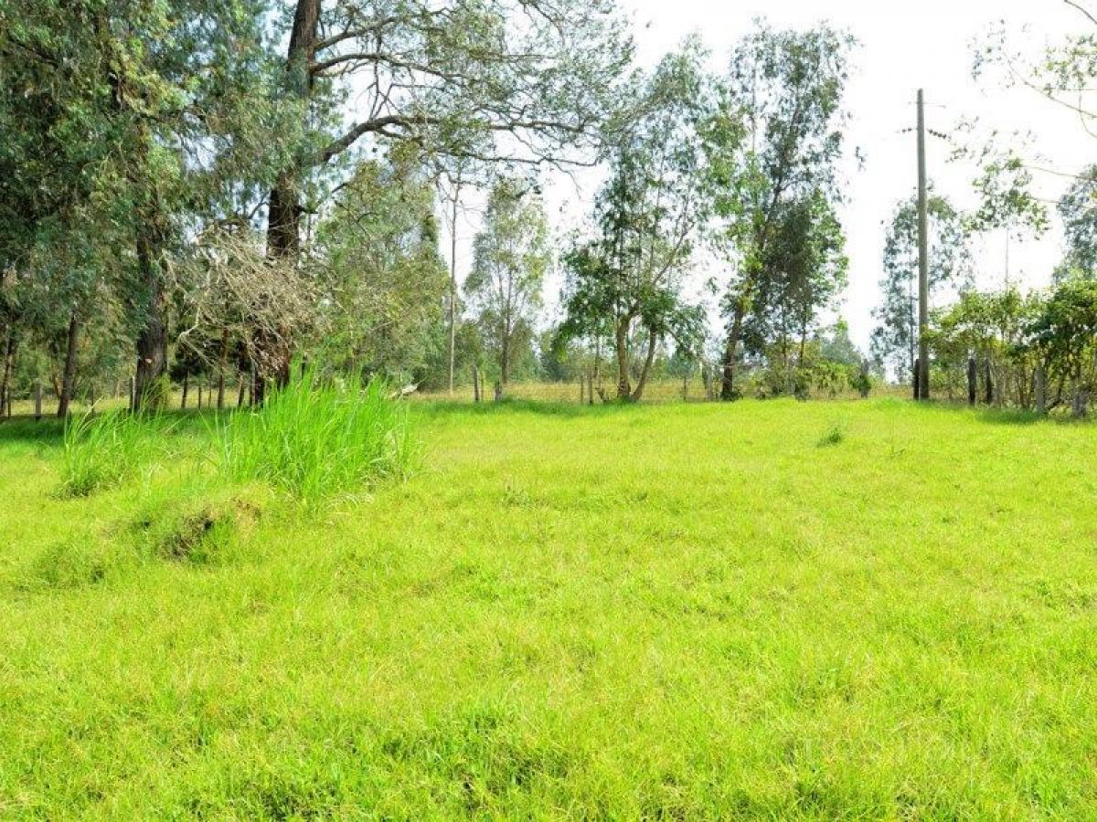  Land in Antioquia, Colombia No. 470