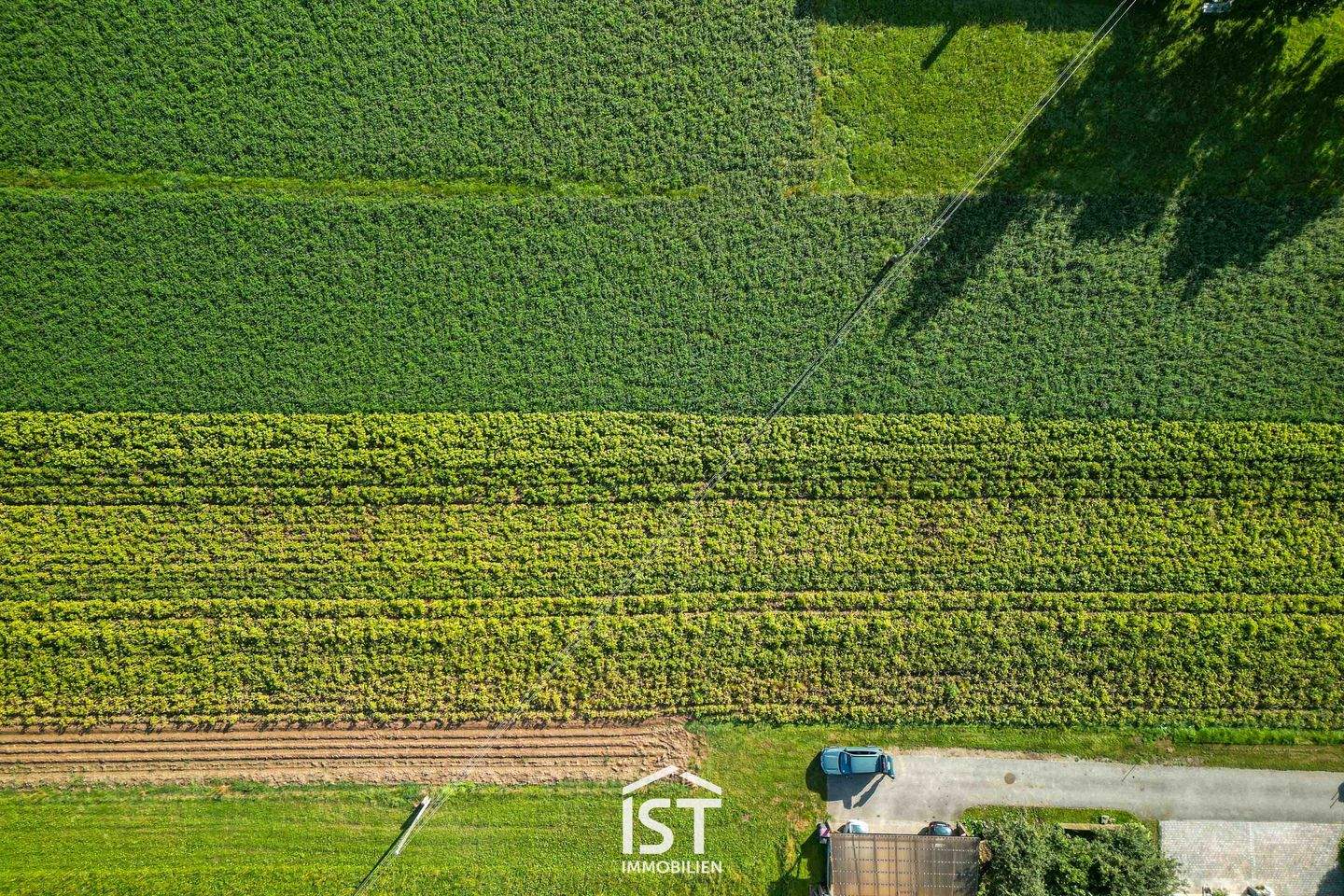  Land in Altheim, Austria No. 95841