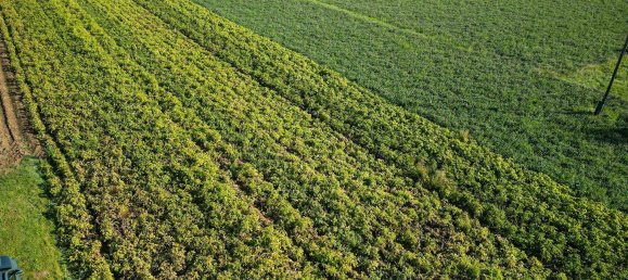  Land in Altheim, Austria No. 95841 3