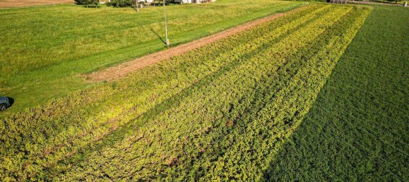  Land in Altheim, Austria No. 95841 2