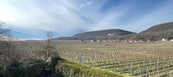 5 غرف نوم منزل في Gueberschwihr, France رقم 214804 3