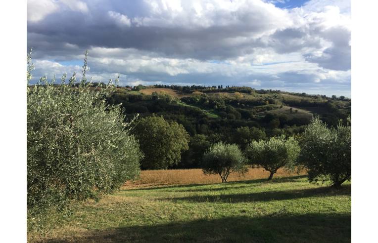 5 rooms House in Pesaro, Italy No. 254362