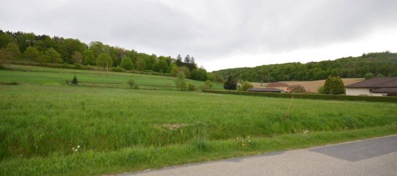 Terreno en Neustift bei Gussing, Austria No. 236510 6