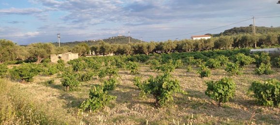 Hôtel à Zakynthos, Greece No. 8524 5