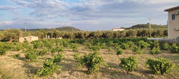 Hôtel à Zakynthos, Greece No. 8524 4