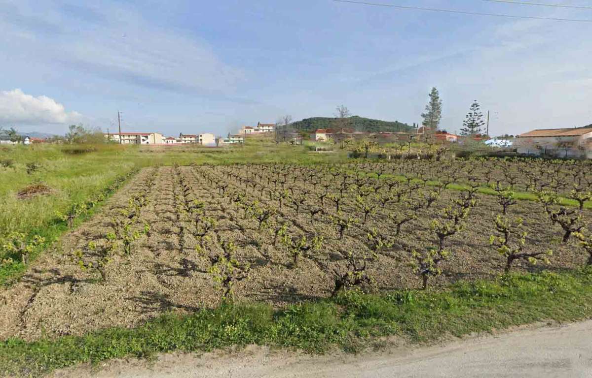 Hôtel à Zakynthos, Greece No. 8524