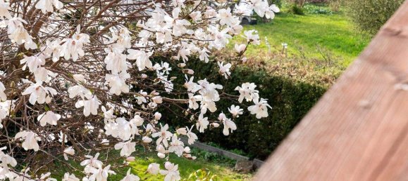 7-Zimmer Haus in Anthering, Austria, Nr. 176494 20