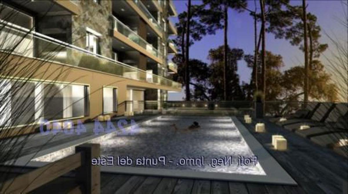 2 bedrooms Apartment in Punta del Este, Uruguay No. 908