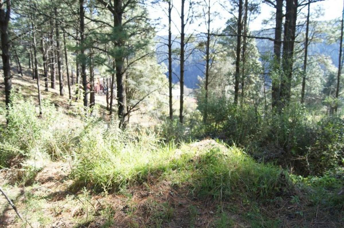 Terrain à Lerma, Mexico No. 202685