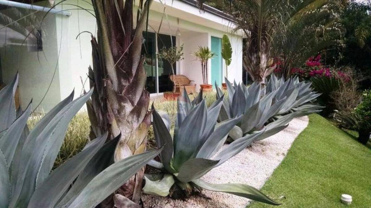 Дом с 4 спальнями в Сан-Паулу, Бразилия № 480850