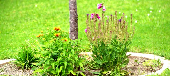 4غرفة تاون هاوس في Traiskirchen, Austria رقم 130402 2