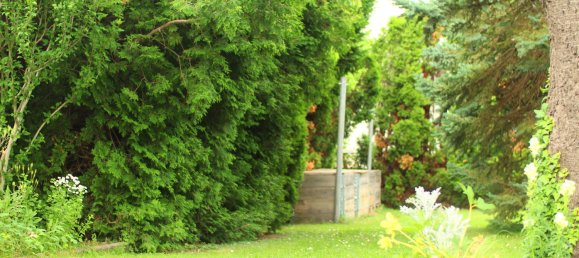 4غرفة تاون هاوس في Traiskirchen, Austria رقم 130402 5