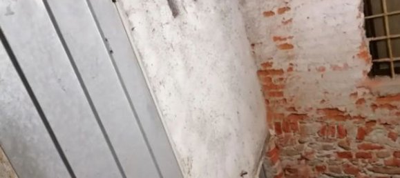 2 rooms Apartment in Lanzo Torinese, Italy No. 46281 12