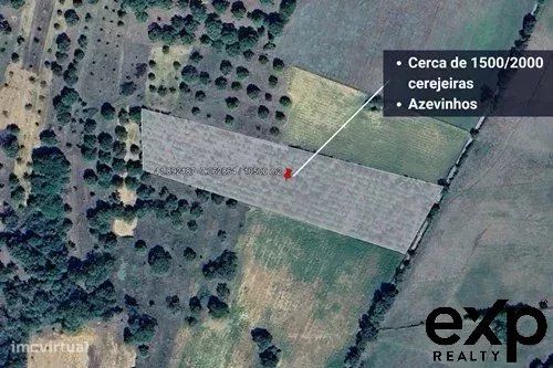 Земельный участок 39150м² в Виньяйш, Португалия № 214416