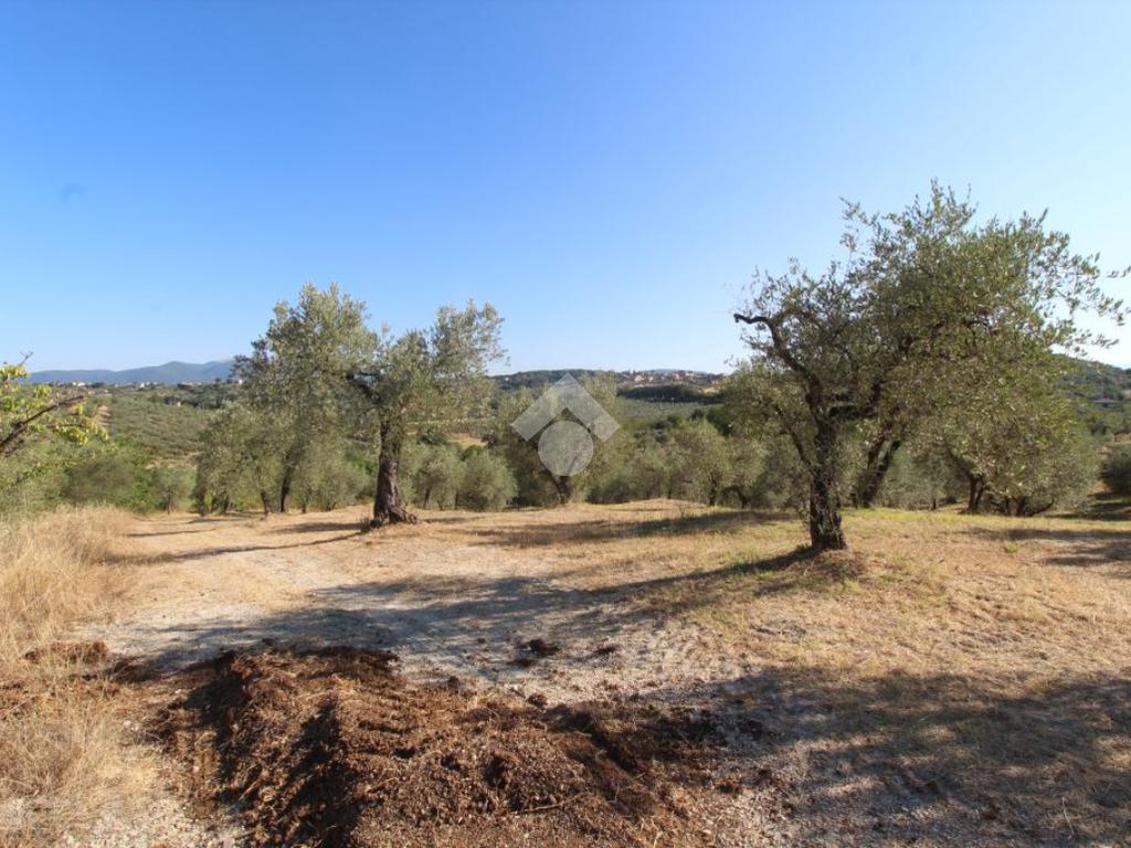 1 chambre Terrain à Poggio Nativo, Italy No. 291919
