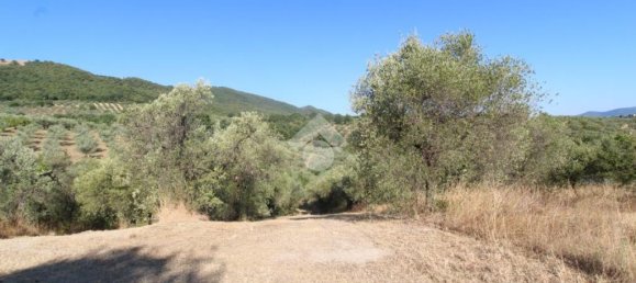 1 chambre Terrain à Poggio Nativo, Italy No. 291919 6