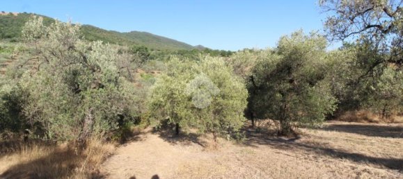 1 chambre Terrain à Poggio Nativo, Italy No. 291919 4