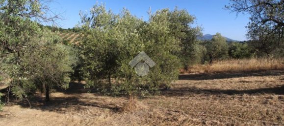 1 chambre Terrain à Poggio Nativo, Italy No. 291919 3