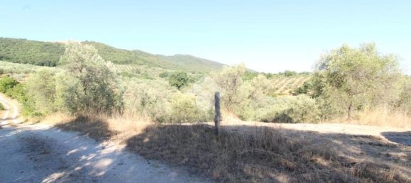 1 chambre Terrain à Poggio Nativo, Italy No. 291919 5
