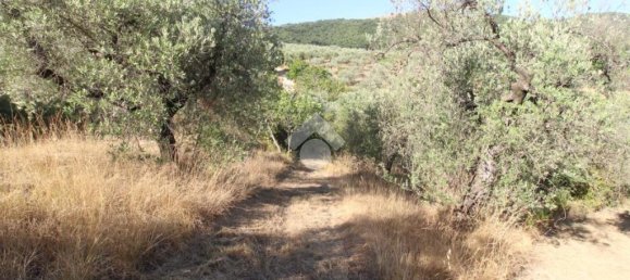 1 chambre Terrain à Poggio Nativo, Italy No. 291919 10
