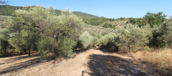 1 chambre Terrain à Poggio Nativo, Italy No. 291919 7