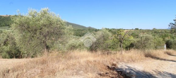 1 chambre Terrain à Poggio Nativo, Italy No. 291919 2