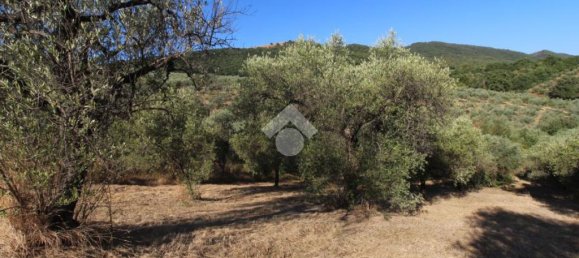 1 chambre Terrain à Poggio Nativo, Italy No. 291919 9
