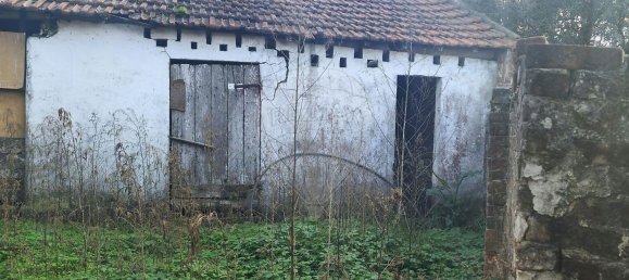 3 Schlafzimmer Haus in Alcobaca, Portugal, Nr. 33118 11