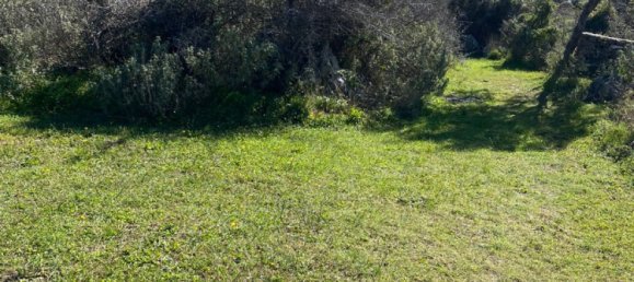 3 غرف نوم فيلا في Chania, Greece رقم 175 18