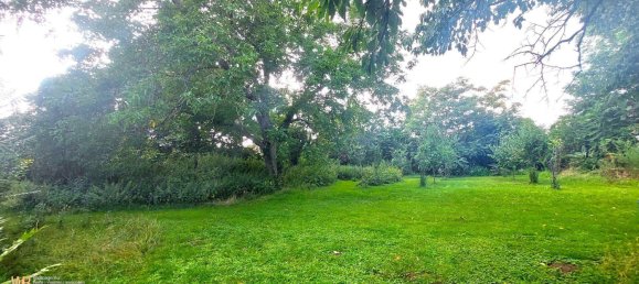 Terreno em Potzneusiedl, Austria N.º 164403 4