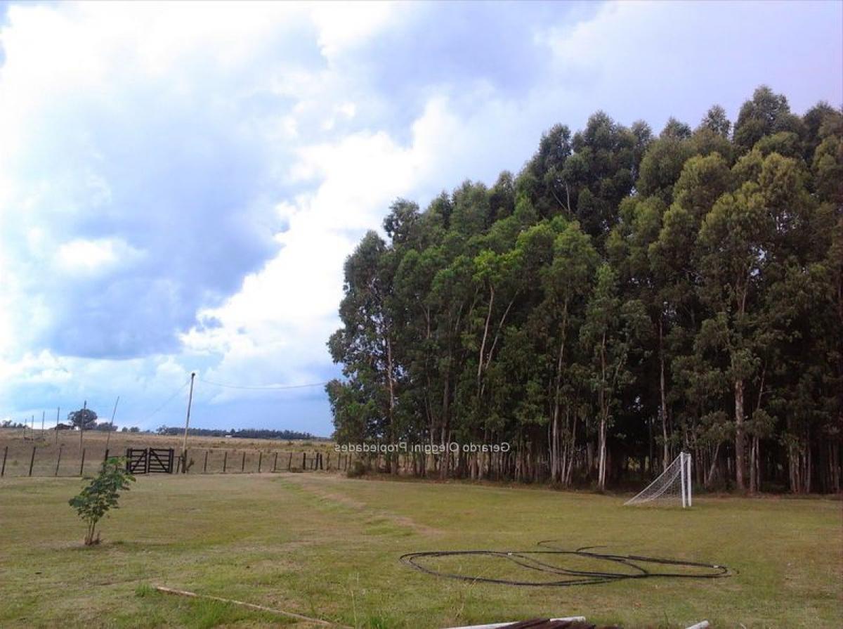 2 bedrooms House in Canelones, Uruguay No. 638