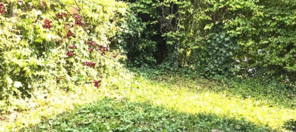 Adosado de 5 habitaciónes en Konstanz, Germany No. 335846 5